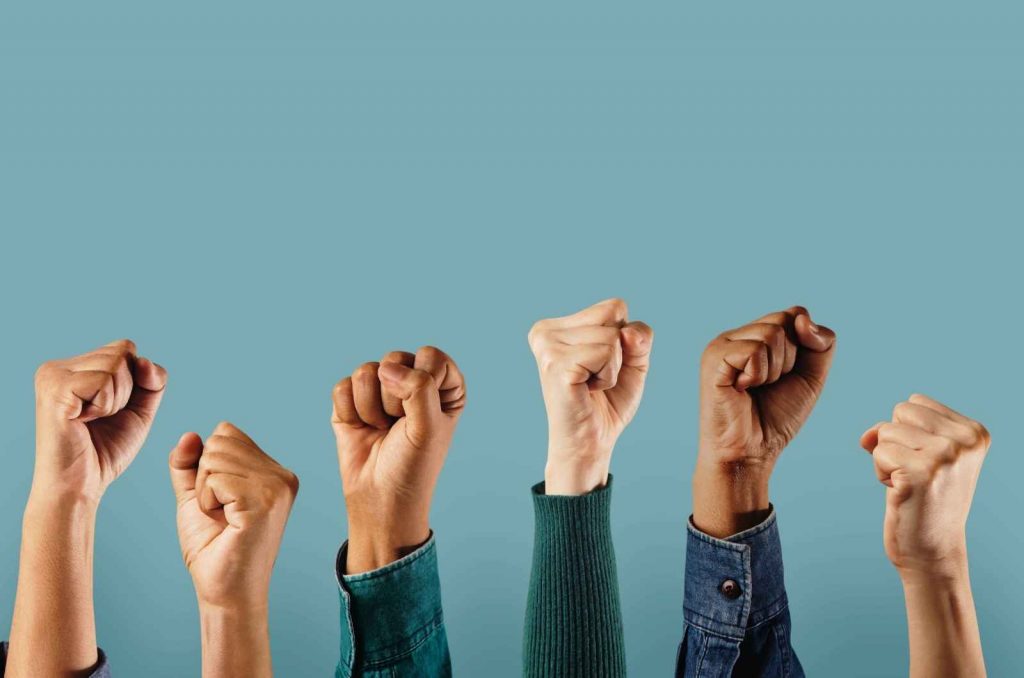 התנועה לחופש המידע