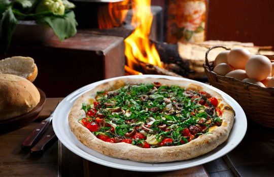 ציוד פיצריה לפיצריות2