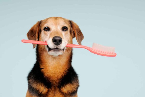 Brushing your teeth2