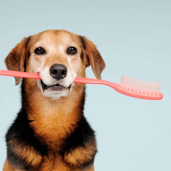 Brushing your teeth2