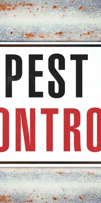 הדברה באילת2